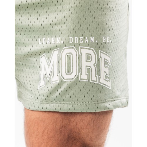 Must-Have LDB More Mesh Short 6" - Sage - Green Immediate Availability