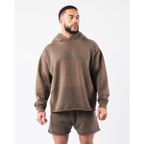 Must-Have Sunfade Hoodie - Crater - Brown Ready for Shipment