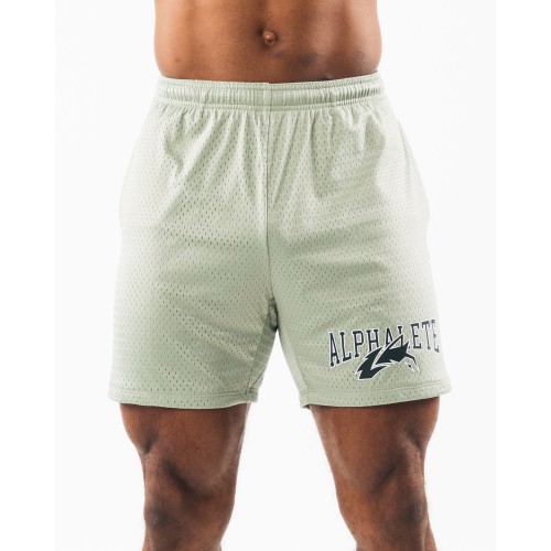 Must-Have Wolf Head Mesh Short 6" - Sage - Green New Collection