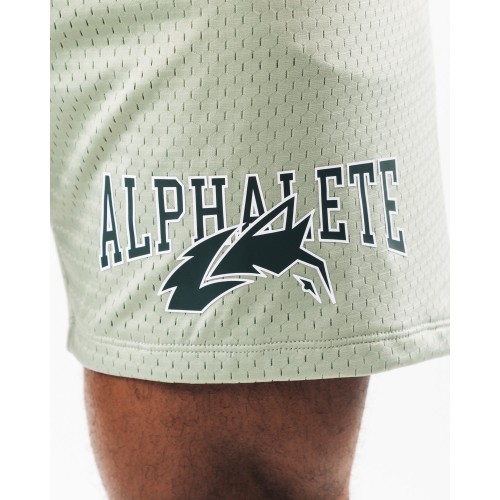 Must-Have Wolf Head Mesh Short 6" - Sage - Green New Collection