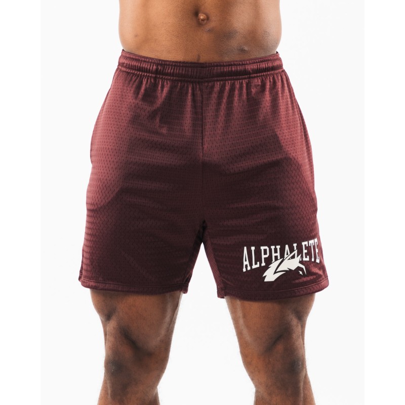 Must-Have Wolf Head Mesh Short 6" - Sangria - Red