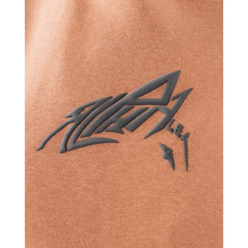 Must-Have Stencil Hoodie - Clay - Brown In Stock