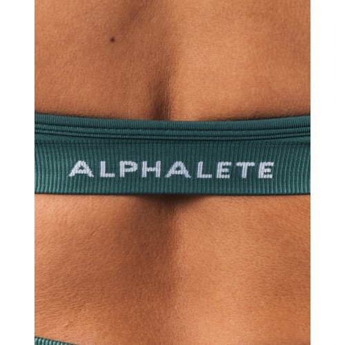 Must-Have Amplify Halter Bra - Sage - Green On Hand Now