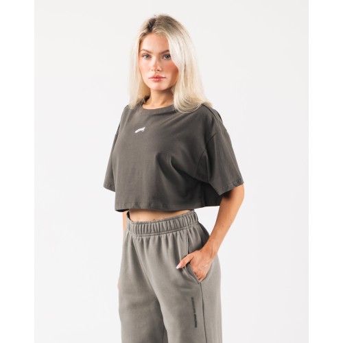 Must-Have Origin Crop - Pewter - Brown New Stock