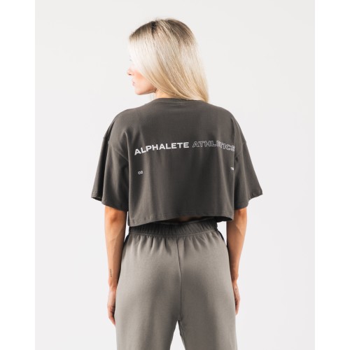 Must-Have Origin Crop - Pewter - Brown New Stock