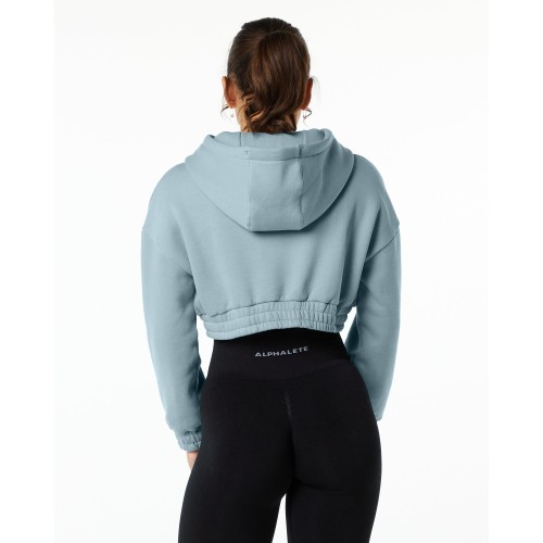 Must-Have Classic Capital Crop Hoodie - Fog Blue Immediate Availability