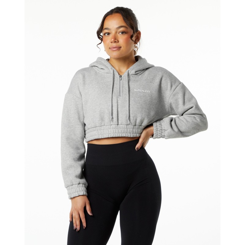 Must-Have Classic Capital Crop Hoodie - Heather Grey Just Launched