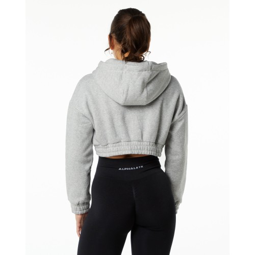 Must-Have Classic Capital Crop Hoodie - Heather Grey Just Launched