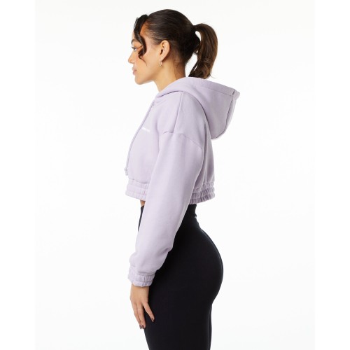 Must-Have Classic Capital Crop Hoodie - Misty Lilac - Purple Available Now