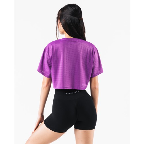 Must-Have Margo Mesh Crop Tee - Blaze - Purple Available Now