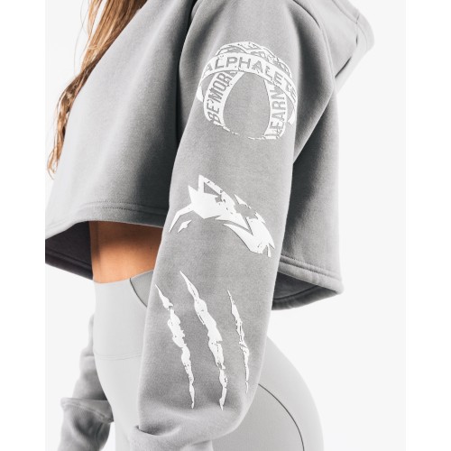 Must-Have Trilogy Crop Hoodie - Grey New Collection