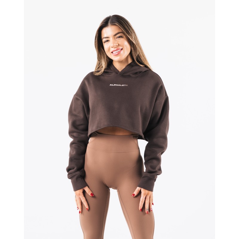 Must-Have Trilogy Crop Hoodie - Pewter - Brown In Stock